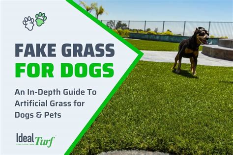 fake grass for dogs celina tx|Buy Pet Turf & Fake Grass for Dogs in Texas .